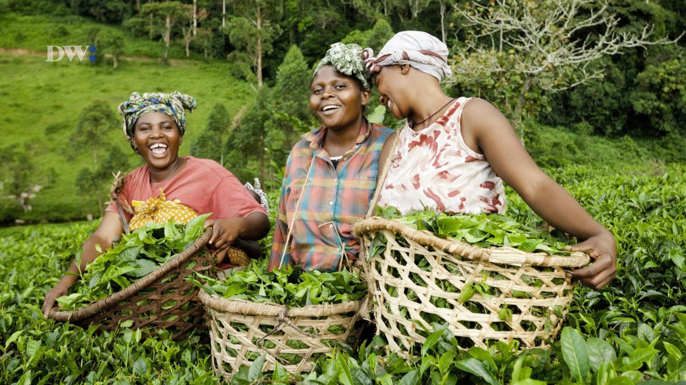 Unsung Heroes: The Invaluable Role of Rural Women in a Changing World